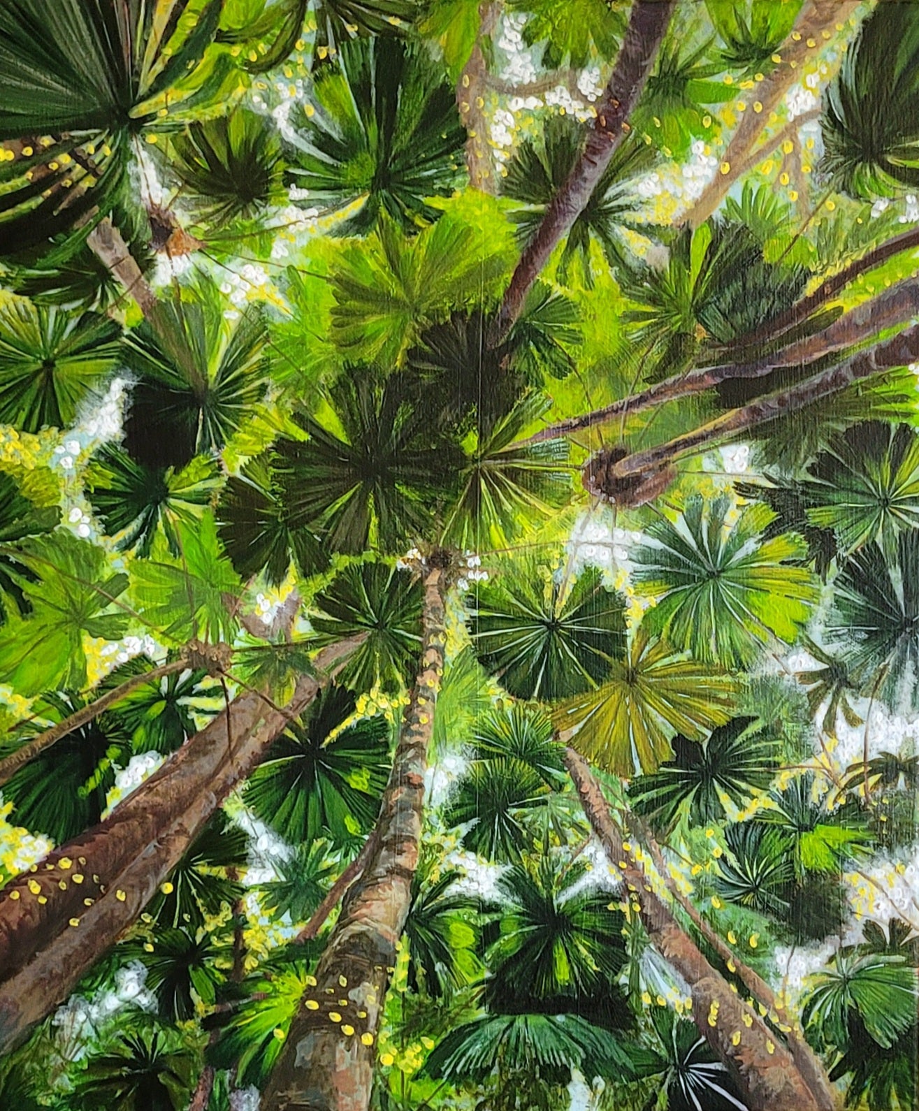 Daintree Fan Palms Original Painting