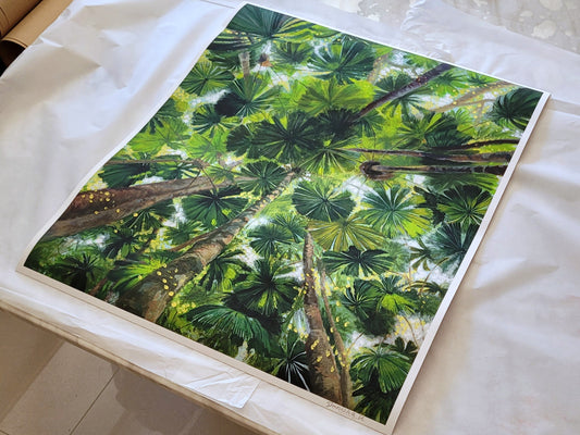 Daintree Fan Palms Giclée Print Full Size