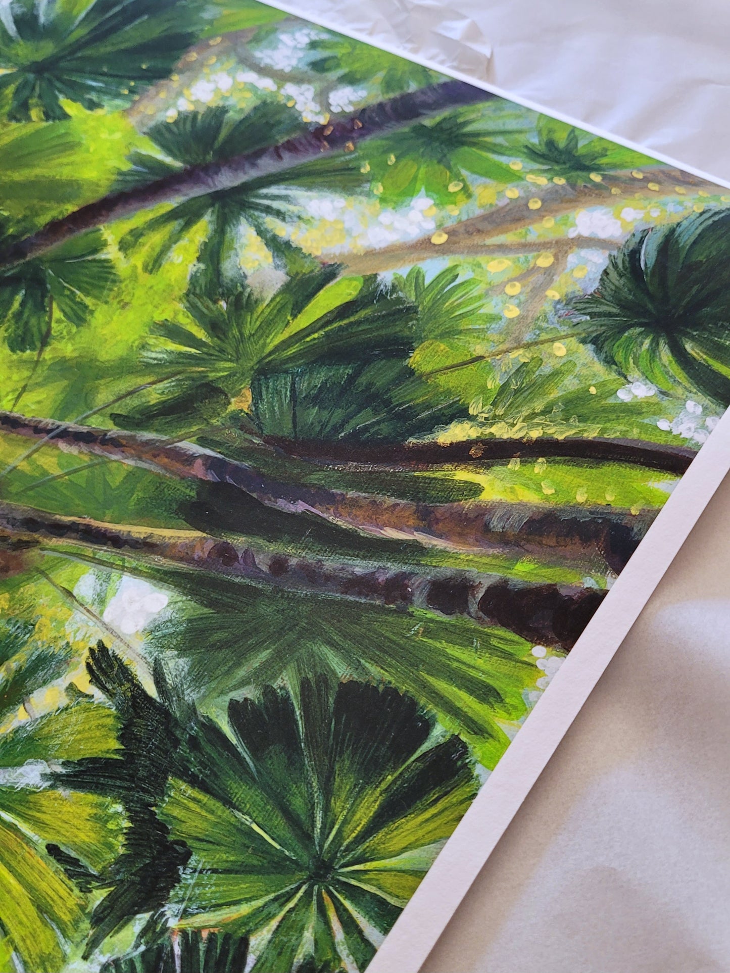 Daintree Fan Palms Giclée Print Full Size