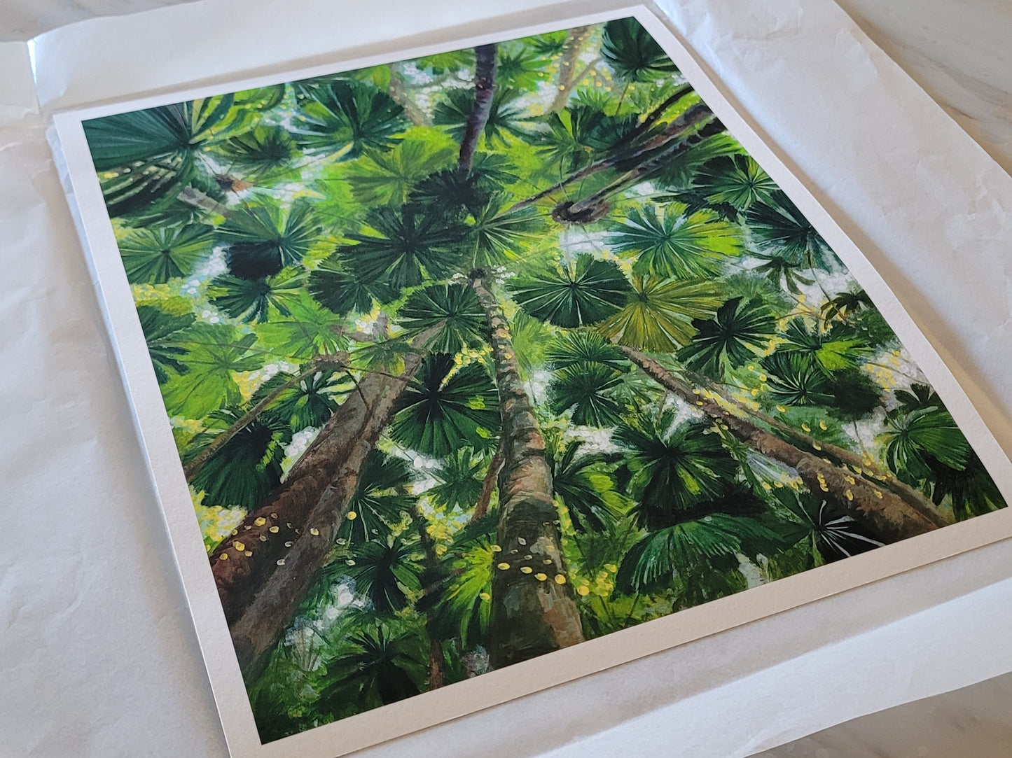 Daintree Fan Palms Giclée Print Half Size