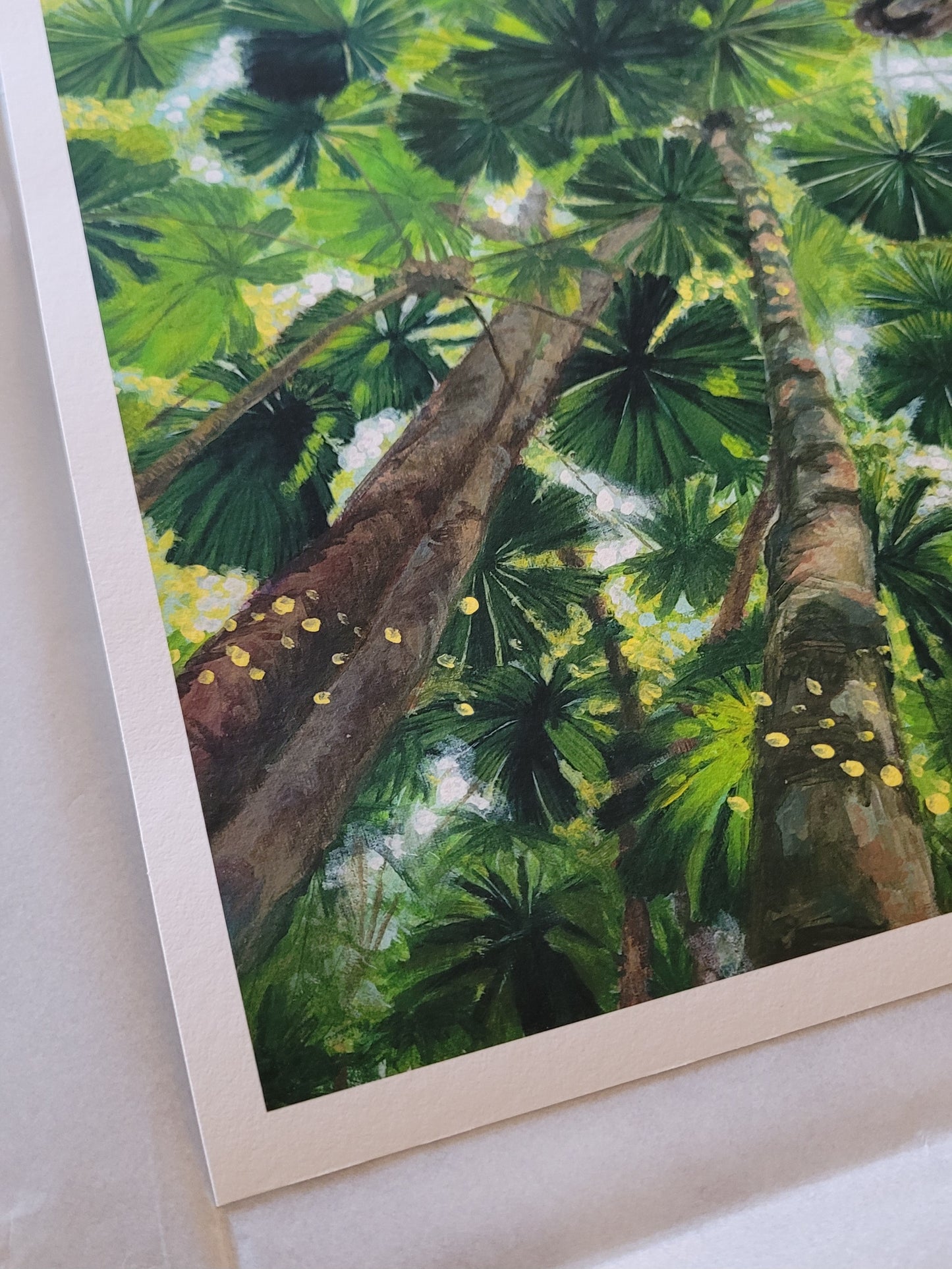 Daintree Fan Palms Giclée Print Half Size