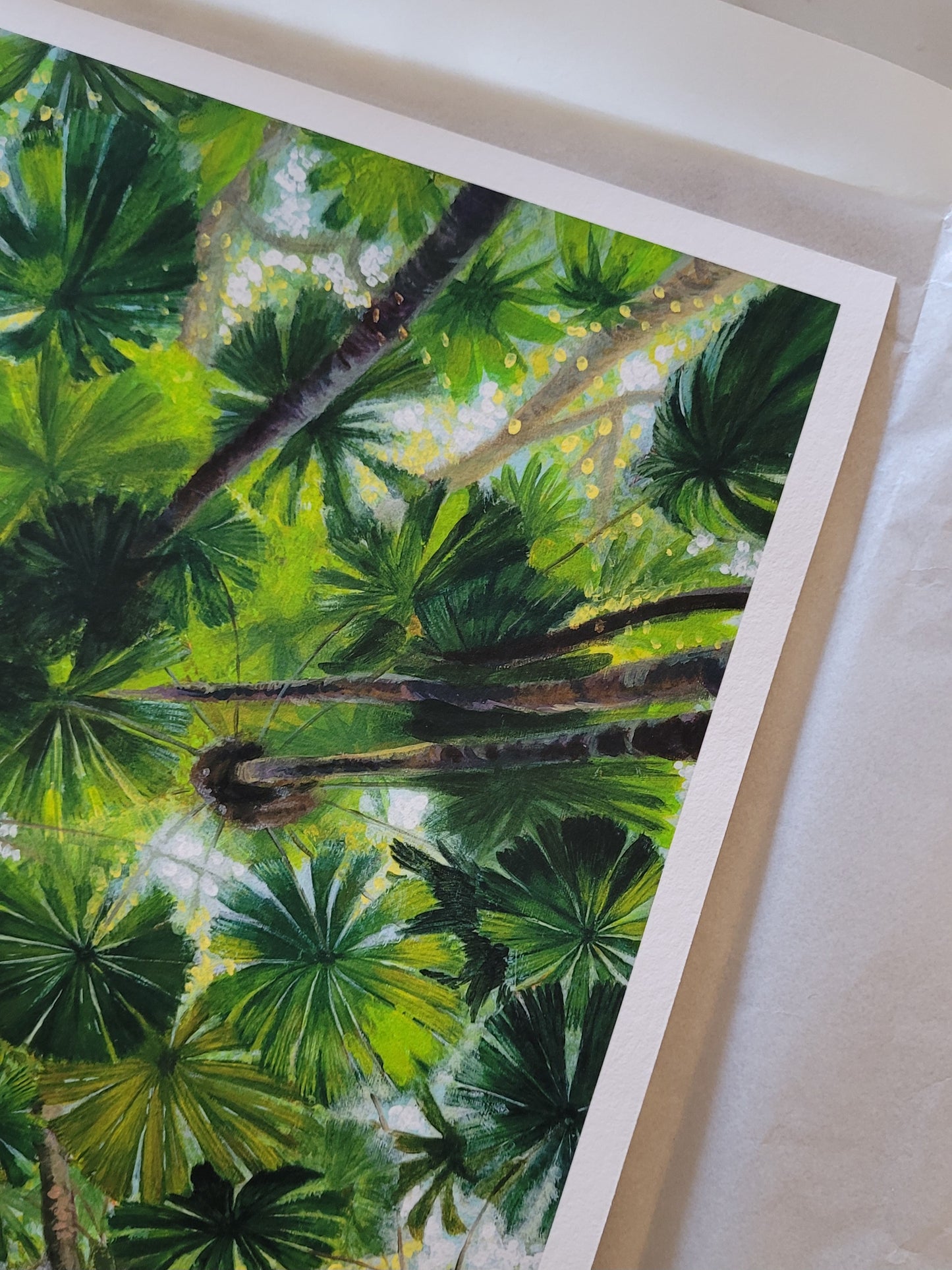 Daintree Fan Palms Giclée Print Half Size