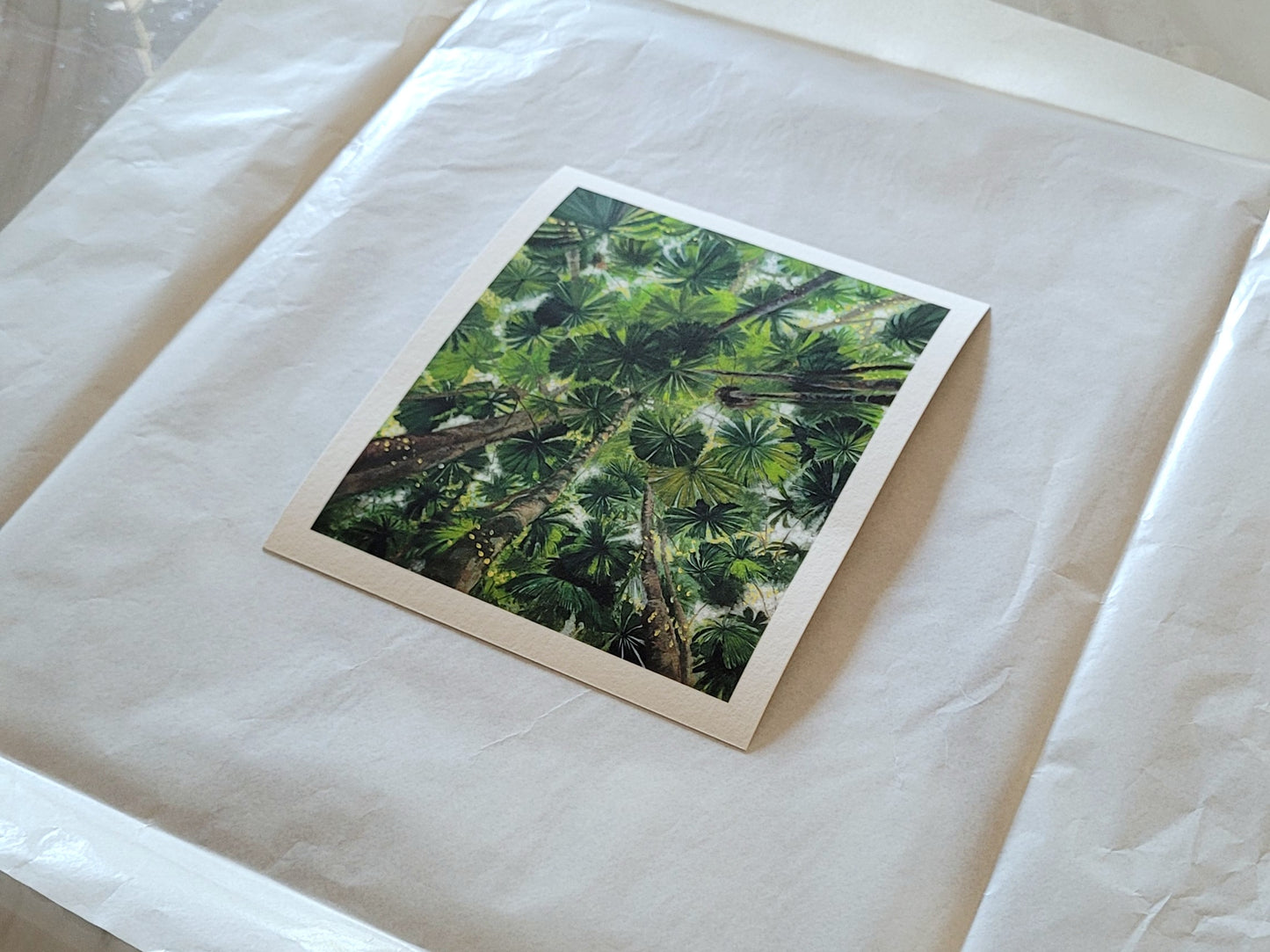 Daintree Fan Palms Giclée Print Postcard Size