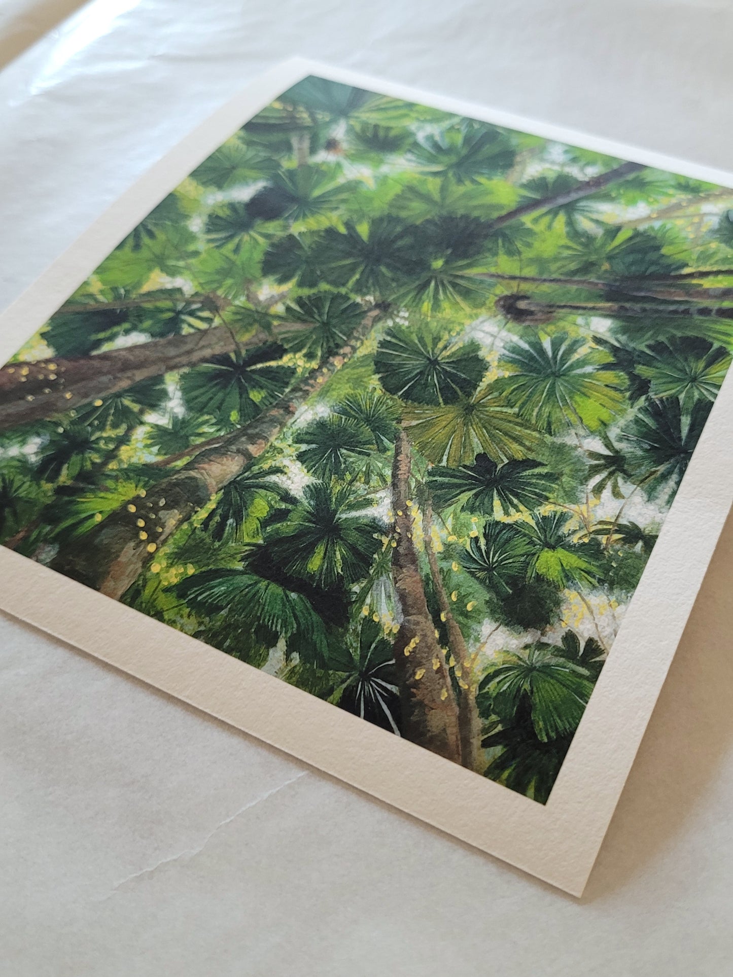 Daintree Fan Palms Giclée Print Postcard Size