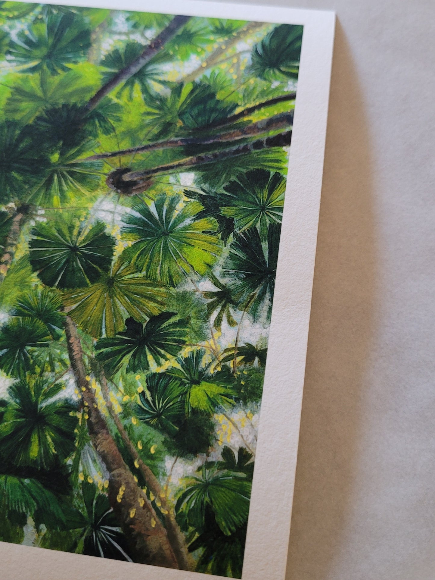 Daintree Fan Palms Giclée Print Postcard Size