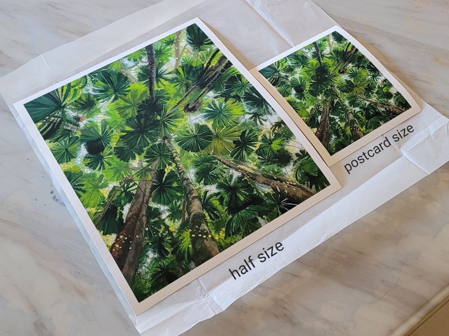 Daintree Fan Palms Giclée Print Postcard Size