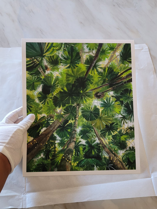 Daintree Fan Palms Giclée Print Half Size