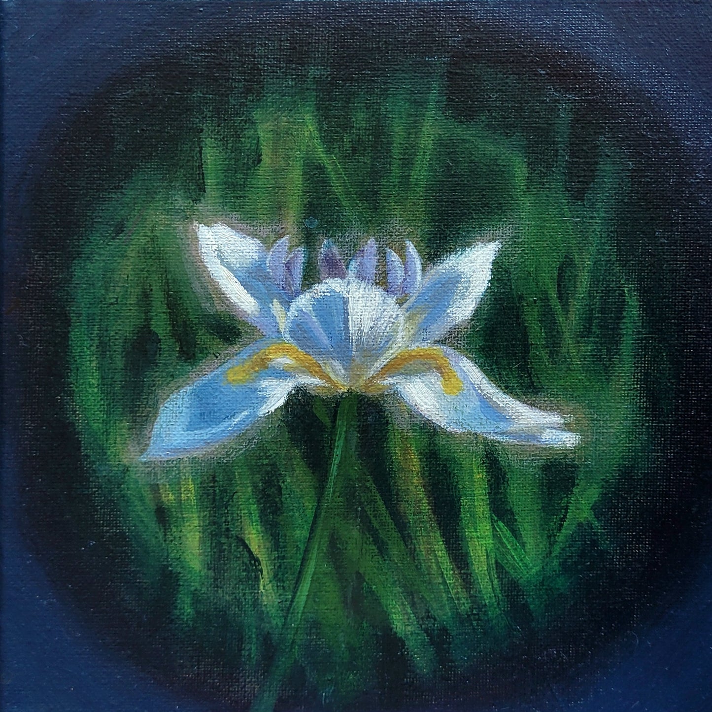 A flower from my walk A5 print