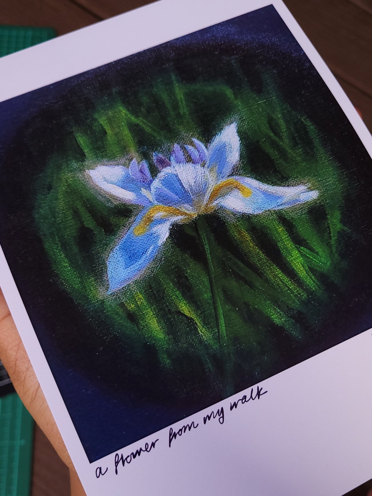 A flower from my walk A5 print